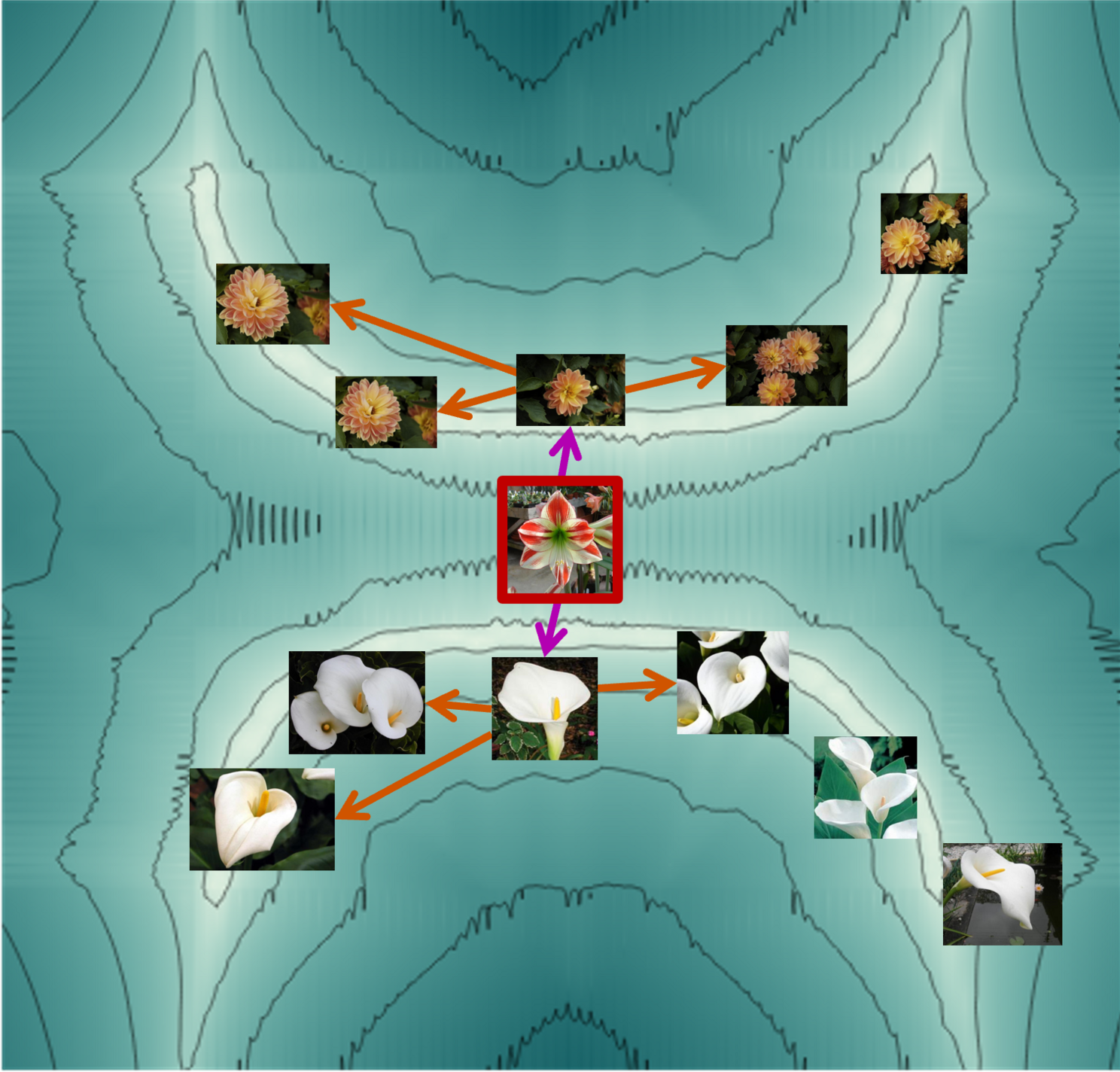 Image for k-NNN: Nearest Neighbors of Neighbors for Anomaly Detection,